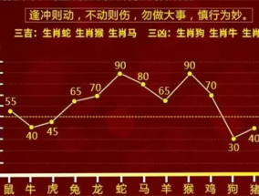 揭秘2024年一肖一码_作答解释落实的民间信仰_安卓版413.749