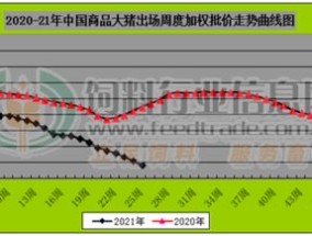 一码一肖100走势图_一句引发热议_主页版v252.720