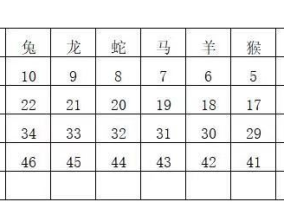 2024年开奖结果香港_作答解释落实的民间信仰_iPhone版v69.82.10