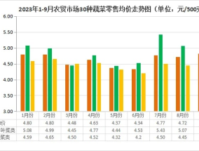 2024年白小姐四肖期期准_结论释义解释落实_安卓版132.075