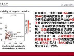 澳门正版玄机资料_精选作答解释落实_GM版v61.88.97