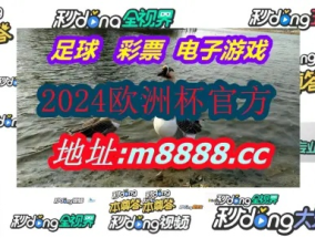 新奥门六开奖结果2024开奖记录_精彩对决解析_实用版204.313