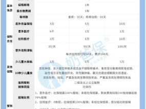 华安保险怎么样，深度解析其服务与表现  华安保险怎么样