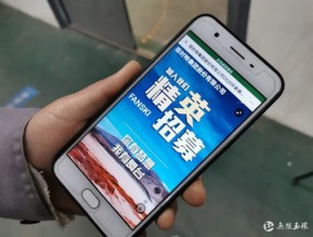 2024今晚澳门开特马开什么_详细解答解释落实_手机版333.793