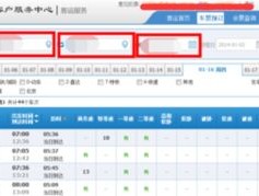 火车票网上订票系统，便捷出行的数字化革命  火车票网上订票系统