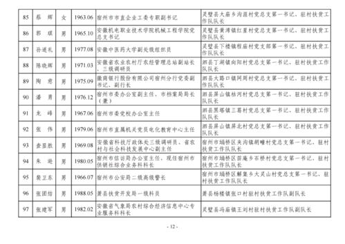 2025澳门正版资料全年免费公开-精选解析与落实的详细结果