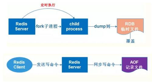 新奥最精准免费大全最公平公正合理吗？-精选解析与落实的详细结果